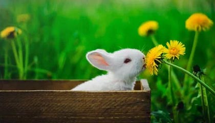 这些足球冷知识 你能猜对吗？